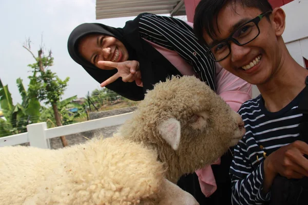 Keçi çiftliğinde kamera tutan Asyalı bir adam ve kadının portresi. Tatildeyken romantik ve mutlu bir ilişkide birliktelik