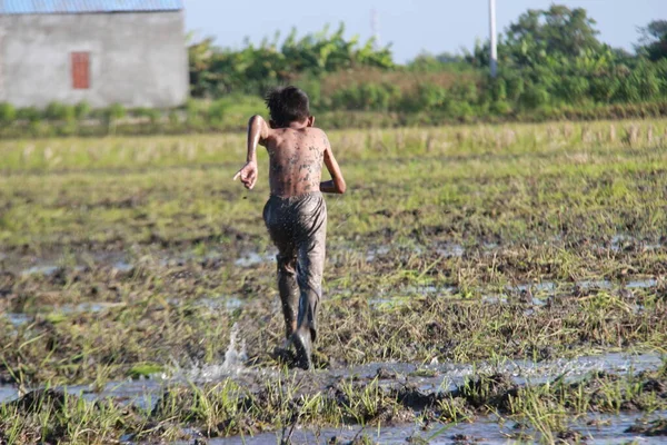Asyalı gençler pirinç tarlalarının çamurunda koşuyorlar. Açık havada aktif olarak oynuyorlar. Köydeki çocukların tatildeyken yaptıkları mutluluk aktiviteleri