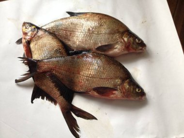 Üç balıklar bileşimi.