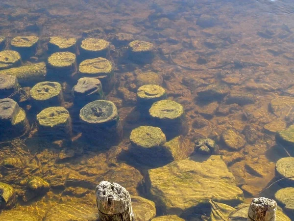 Bodem Van Een Rivier — Stockfoto