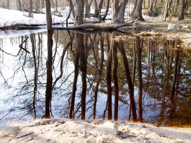 Sakinleştirici sessizlik. Ağaçların suda yansıması.