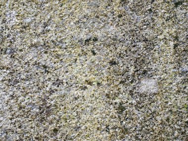 Mükemmel ve renkli taş doku.