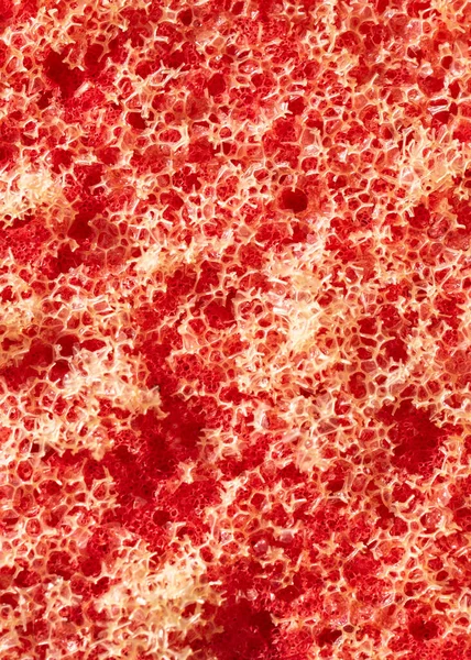 Esponja Lavavajillas Rojo Textura Fondo — Foto de Stock