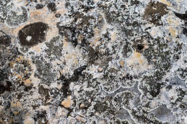 İlginç bir dokusu olan hafif kireçtaşı. arkaplan