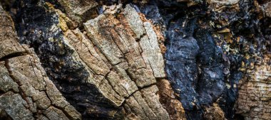 Görünür detayları olan eski kırık ahşap