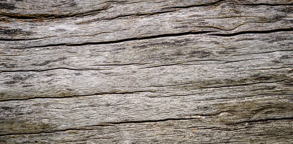目に見えるディテールの古い割れた木 — ストック写真