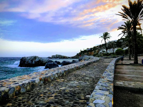 Camino Junto Mar Con Palmeras — Foto de Stock