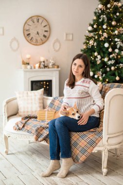 Noel ağacı arka pencereden dışarı beyaz kazak okşayarak köpek yavrusu Galce Corgi hırka genç kız görünüyor