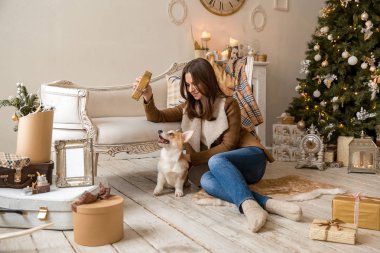 sıcak bir ceket kanepe önünde oturan ve Galce Corgi hırka, hediyeler dikkate alınarak bir köpekle oynayan bir kız