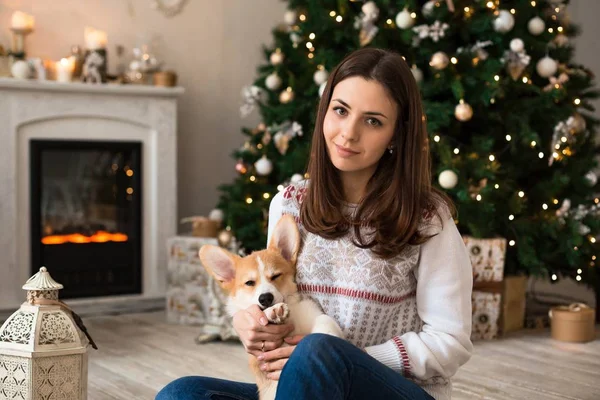 床にクリスマス ツリーと暖炉の背景に子犬ウェルシュ コーギー カーディガンと遊ぶ美しい少女 — ストック写真