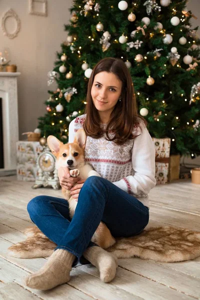 güzel kız yerde köpek yavrusu Galce Corgi hırka Noel ağacı ve şömine arka plan üzerinde oynamaktan