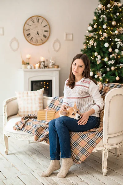 Noel ağacı arka pencereden dışarı beyaz kazak okşayarak köpek yavrusu Galce Corgi hırka genç kız görünüyor