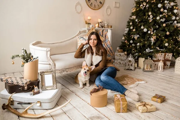 sıcak bir ceket kanepe önünde oturan ve Galce Corgi hırka, hediyeler dikkate alınarak bir köpekle oynayan bir kız