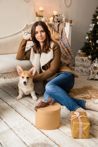 sıcak bir ceket kanepe önünde oturan ve Galce Corgi hırka, hediyeler dikkate alınarak bir köpekle oynayan bir kız