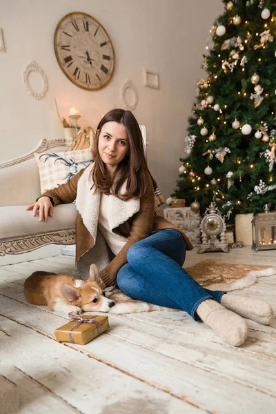 sıcak bir ceket kanepe önünde oturan ve Galce Corgi hırka, hediyeler dikkate alınarak bir köpekle oynayan bir kız