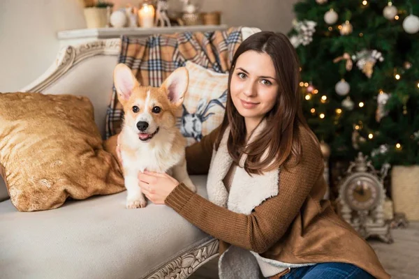 Una ragazza in giacca calda seduta davanti al divano e che gioca con un cucciolo gallese Corgi Cardigan, considerando i regali — Foto Stock