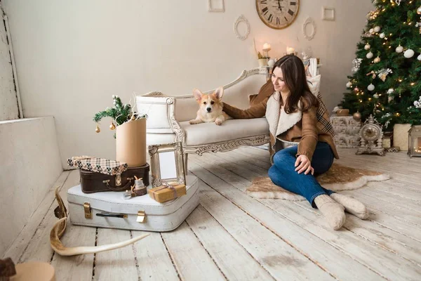 Ein Mädchen in einer warmen Jacke sitzt vor dem Sofa und spielt mit einem Welpen walisischen Corgi-Strickjacke, über Geschenke nachdenkend — Stockfoto