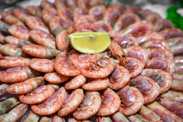 Verse garnalen op ijs op de vismarkt — Stockfoto