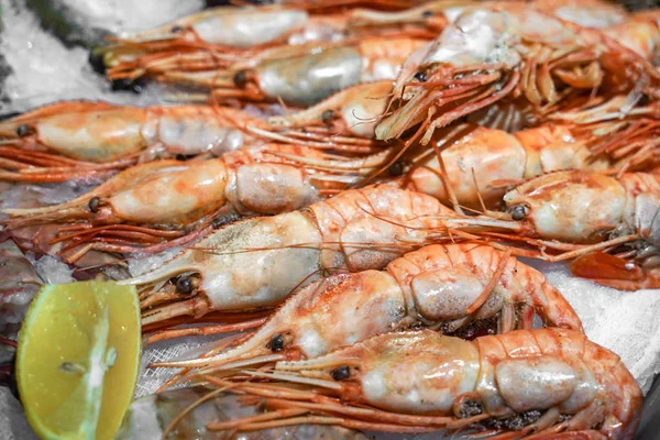 Fresh shrimp on ice at the fish market — Stock Photo, Image