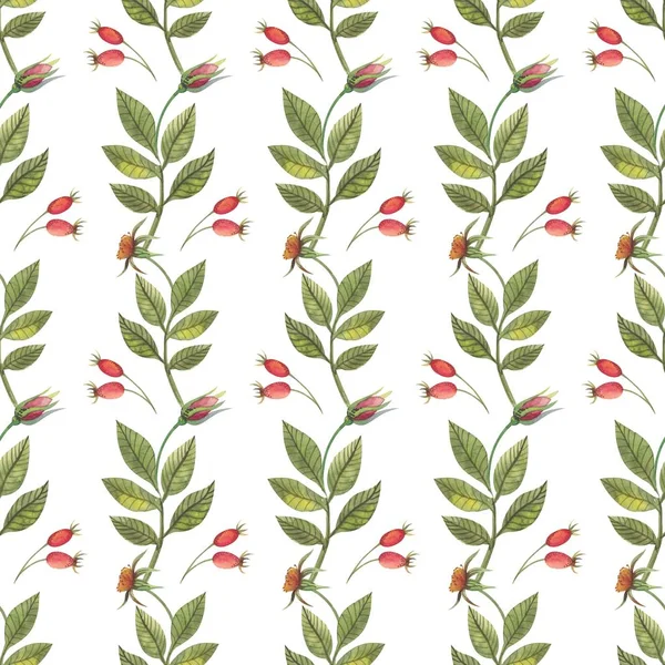 Seamless Pattern Flowers Rose Hips Watercolor Style Can Used Fabric — Stock Photo, Image