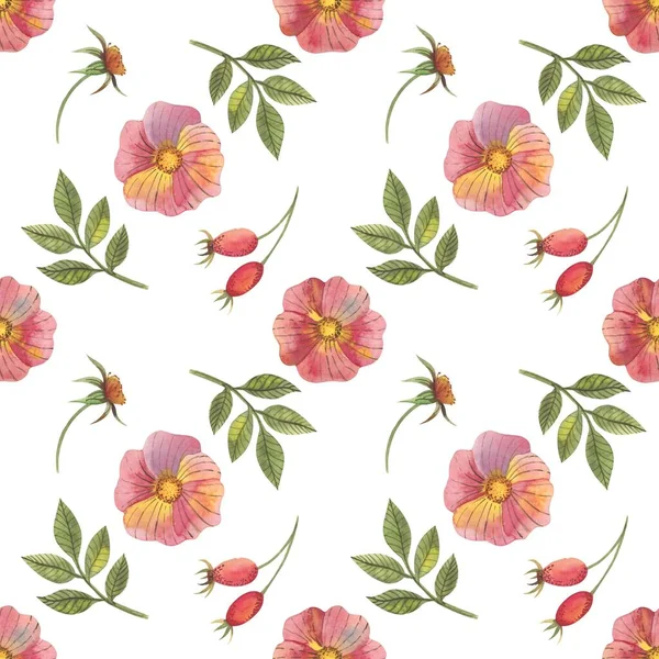 Seamless Pattern Flowers Rose Hips Watercolor Style Can Used Fabric — Stock Photo, Image