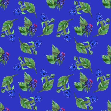 Çiçek desenli suluboya tarzında. Böğürtlen, çiçek ve centiyana güzel seamless modeli. Duvar kağıdı, kumaşlar basım için bir arka plan şablon olarak kullanılabilir.