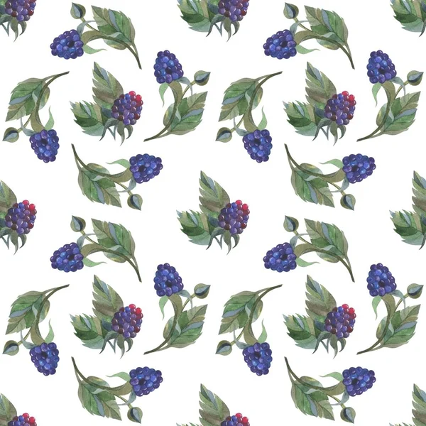 Floral Pattern Watercolor Style Beautiful Seamless Pattern Blackberries Flowers Gentian — Stock Photo, Image