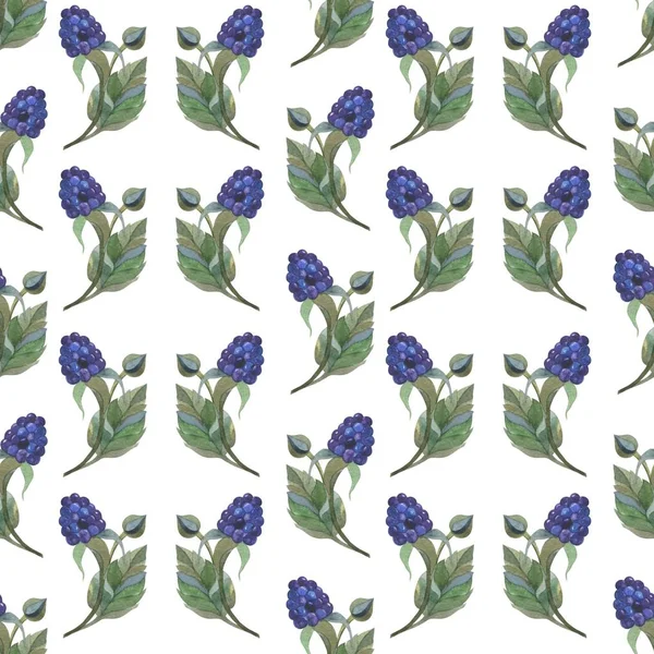 Floral Pattern Watercolor Style Beautiful Seamless Pattern Blackberries Flowers Gentian — Stock Photo, Image