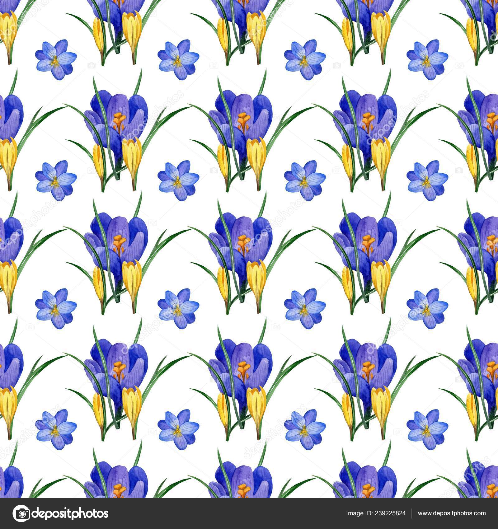 无缝花卉图案的番红花花和草本植物在水彩画风格完美的背景为织物包装纸包装等 图库照片 C Sea Yandex Ru
