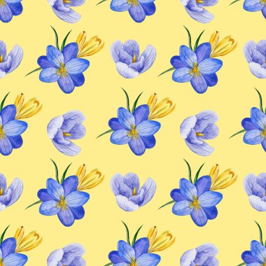 Çiğdem çiçek ve otlar suluboya tarzında sorunsuz çiçek desenli. Kumaşlar, kağıt, ambalaj, vb - illüstrasyon kaydırma için mükemmel arka plan