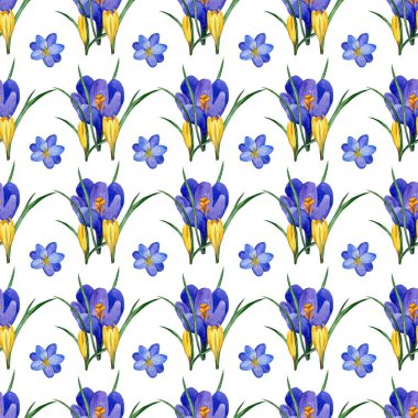 Çiğdem çiçek ve otlar suluboya tarzında sorunsuz çiçek desenli. Kumaşlar, kağıt, ambalaj, vb - illüstrasyon kaydırma için mükemmel arka plan