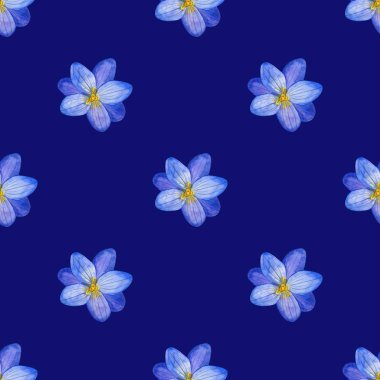 Çiğdem çiçek ve otlar suluboya tarzında sorunsuz çiçek desenli. Kumaşlar, kağıt, ambalaj, vb - illüstrasyon kaydırma için mükemmel arka plan