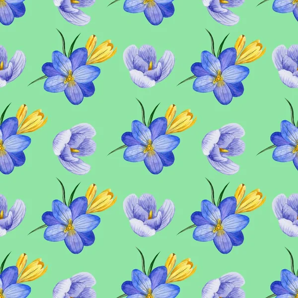 Seamless Floral Pattern Crocus Flowers Herbs Watercolor Style Perfect Background — Stock Photo, Image