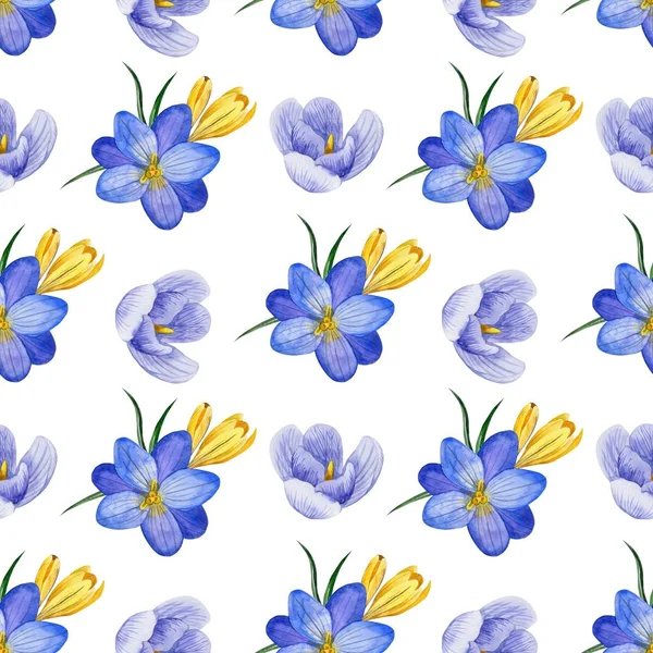 Seamless Floral Pattern Crocus Flowers Herbs Watercolor Style Perfect Background — Stock Photo, Image
