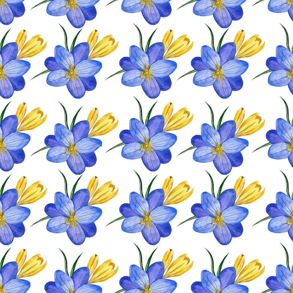 Patrón Floral Inconsútil Flores Hierbas Crocus Estilo Acuarela Fondo Perfecto —  Fotos de Stock