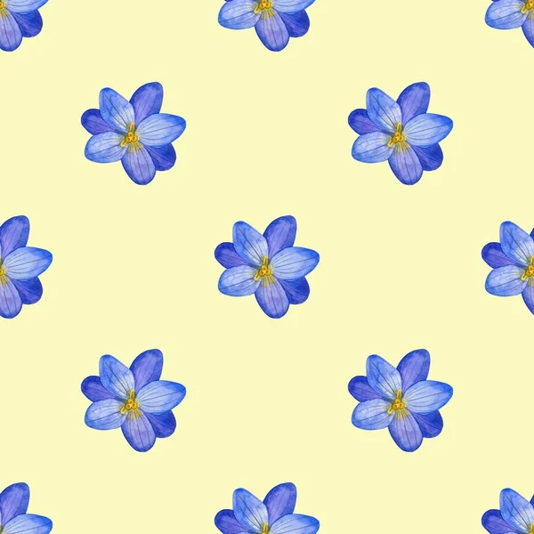 Patrón Floral Inconsútil Flores Hierbas Crocus Estilo Acuarela Fondo Perfecto —  Fotos de Stock