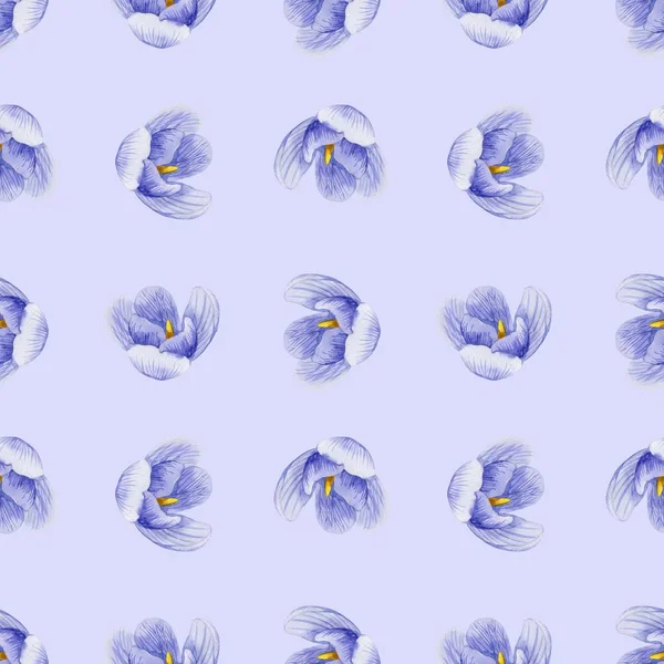 Бесшовный Цветочный Узор Крокус Цветов Трав Акварельном Стиле Перфектный Фон — стоковое фото