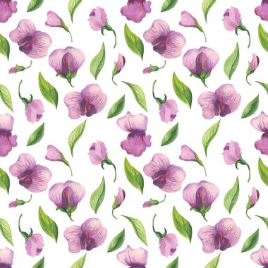 Tatlı bezelyem çiçekli suluboya çiçek desenli. Çiçekler, yapraklar, bakla ve dalları suluboya tarzında. Moda parmak baskı kumaşlar, kağıt, arka plan, vb - illüstrasyon için zarif desen.