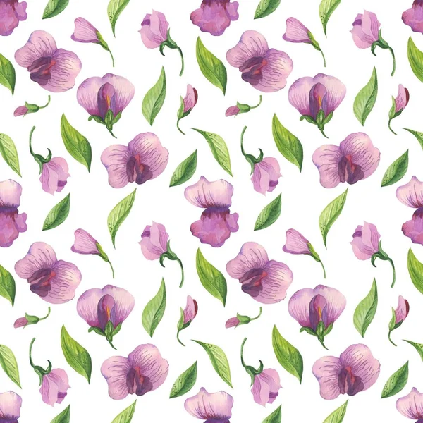 Watercolor floral pattern with sweet pea flowers. Flowers, leaves, pods and tendrils in a watercolour style.Elegant pattern for fashion prints for printing fabrics, paper, background, etc. - Illustration.