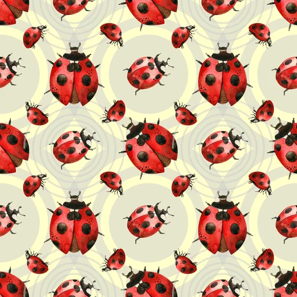 Modèle Aquarelle Coccinelle Rouge Mignon Insectes Dans Technique Aquarelle Est Photo De Stock