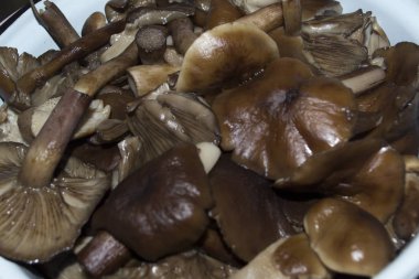 Haşlanmış yenilebilir lapa. hd kalite fotoğraf.