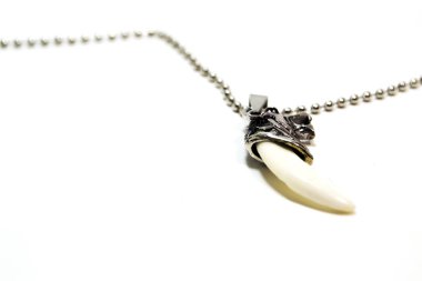 Beyaz arka planda Kolye Kurt dişi