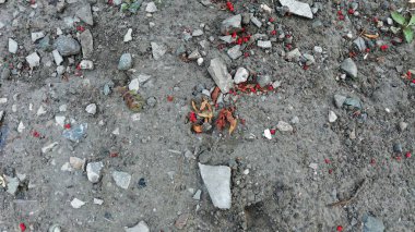 Yerdeki taşlar ve dağ külleri.