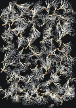 Bukleli düzen için güzel şablon.