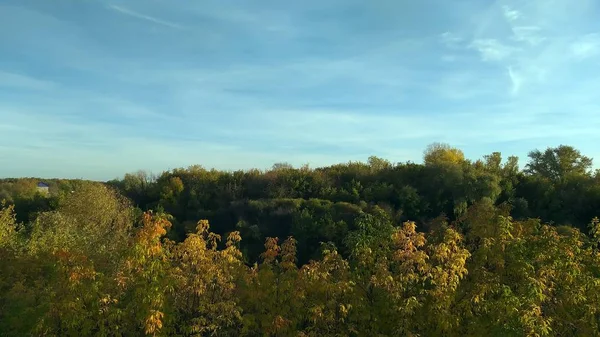 Podzimní scenérie.Jarní lesní krajina s půdou plnou — Stock fotografie