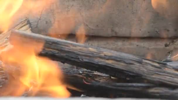 Coals and fire hd video footage closeup — Stock Video