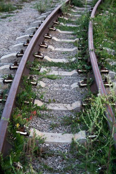 Ferrovia Foto Una Ferrovia Stretta — Foto Stock