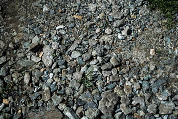 Alpinrutschbana Stora Stenar — Stockfoto