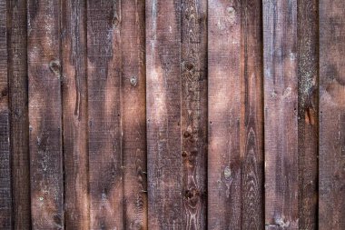 Maun desenli. Tasarım ve sunumlar için arkaplan.