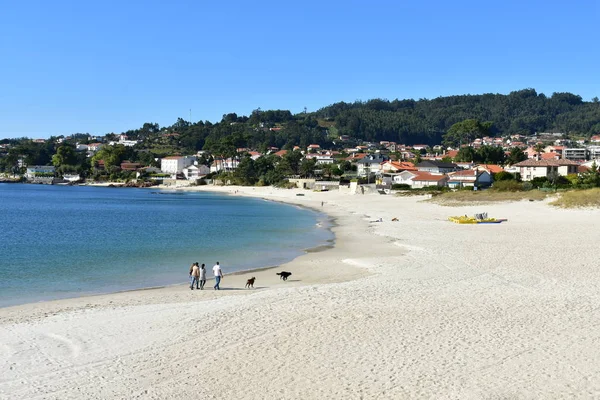 ビーチ パラダイス小さな海岸沿い村 黄金の砂浜 ターコイズ ブルーの海 青い空 犬と歩く人々 晴れた日 ガリシア スペイン — ストック写真